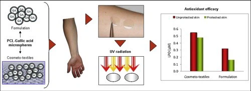 Antioxidant effect of GA