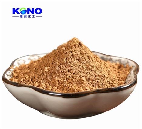 Ganoderma Lucidum u prahu